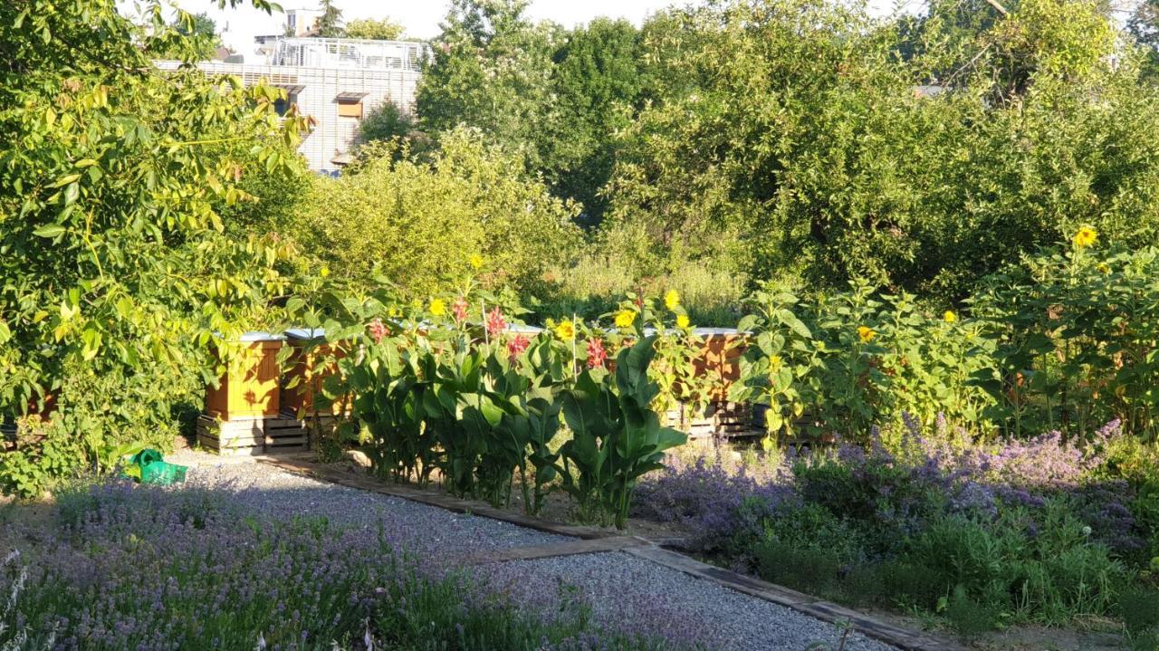 Agroturystyka U Joli Pacanow Buitenkant foto