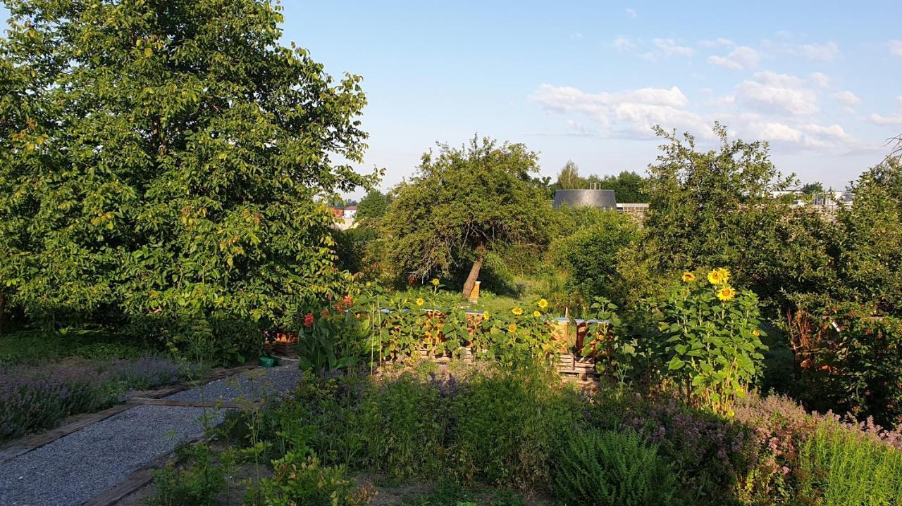 Agroturystyka U Joli Pacanow Buitenkant foto